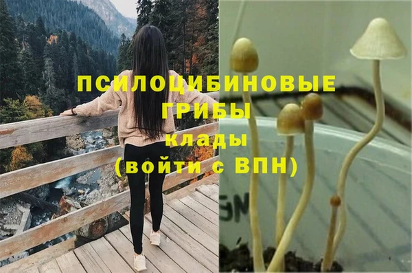прущие крисы Магас