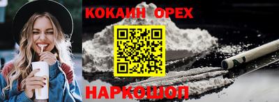 сатива Кандалакша
