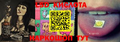 гашик Камышлов