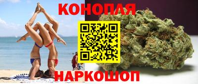 гашик Камышлов