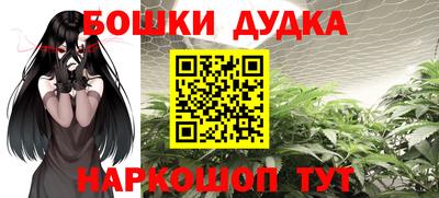 сатива Кандалакша