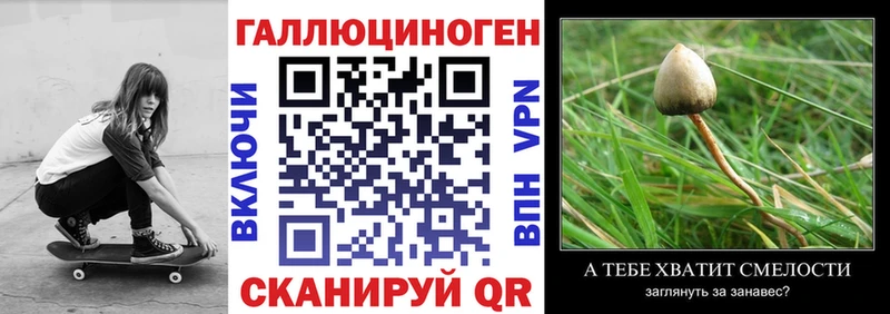 Псилоцибиновые грибы Psilocybe  Сосновоборск 