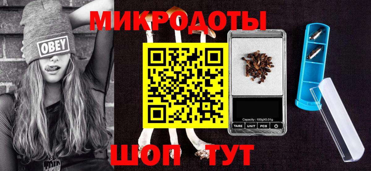 Галлюциногенные грибы Psilocybine cubensis Сосновоборск