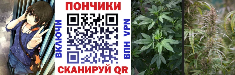 магазин продажи   Сосновоборск  Марихуана LSD WEED 